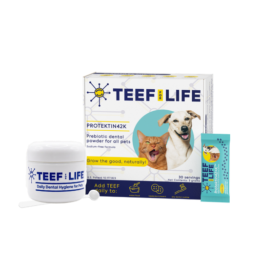 Dental Kits: Protektin42K - Prebiotic Dental Powder for All Pets (Sodium-free)